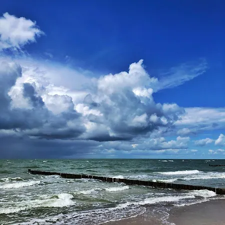 Meridiamus 2 - Ferienhaeuschen In Boddennaehe