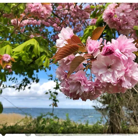 Meridiamus 2 - Ferienhaeuschen In Boddennaehe Дом отдыха *