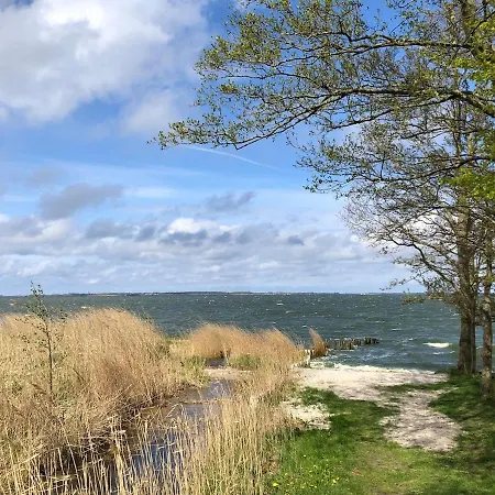 Casa de Férias Meridiamus 2 - Ferienhaeuschen In Boddennaehe *