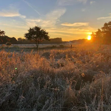 Meridiamus 2 - Ferienhaeuschen In Boddennaehe Дом отдыха