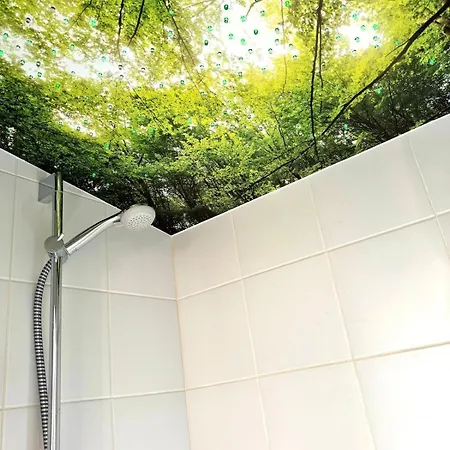 Meridiamus 2 - Ferienhaeuschen In Boddennaehe Дом отдыха *