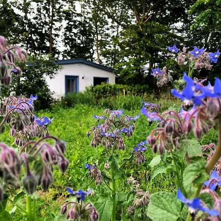 Meridiamus 2 - Ferienhaeuschen In Boddennaehe *