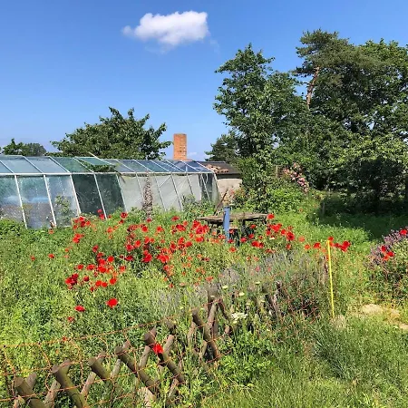 Casa de Férias Meridiamus 2 - Ferienhaeuschen In Boddennaehe *