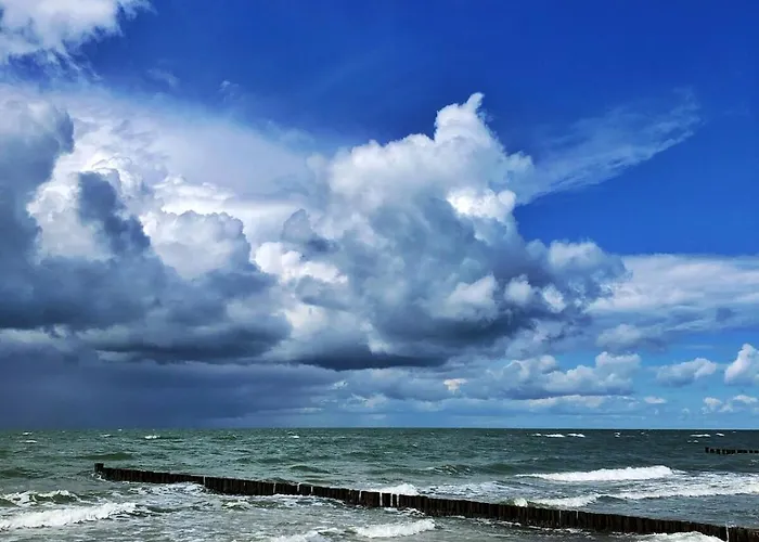 Meridiamus 2 - Ferienhaeuschen In Boddennaehe
