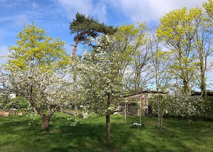 Nyaraló Meridiamus 2 - Ferienhaeuschen In Boddennaehe Ribnitz-Damgarten