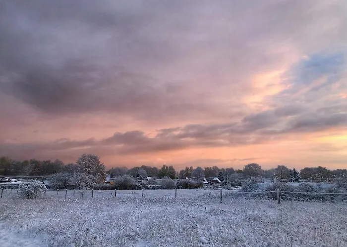Meridiamus 2 - Ferienhaeuschen In Boddennaehe ريبنيتس-دامغارتن