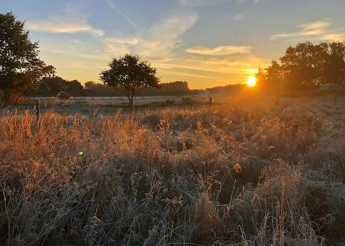 Meridiamus 2 - Ferienhaeuschen In Boddennaehe Nyaraló