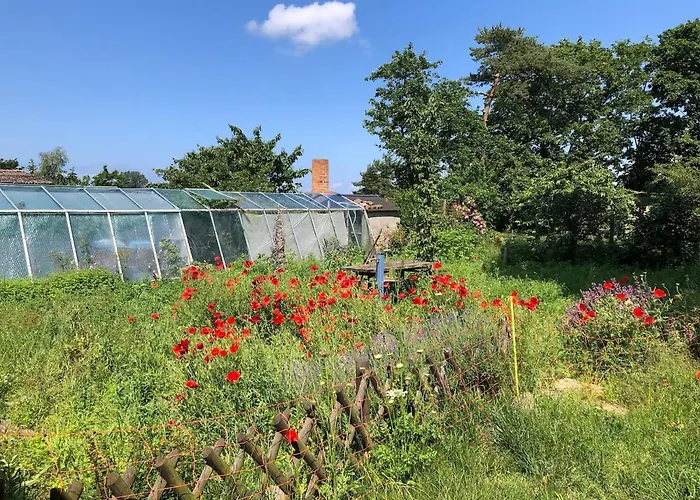 Nyaraló Meridiamus 2 - Ferienhaeuschen In Boddennaehe *